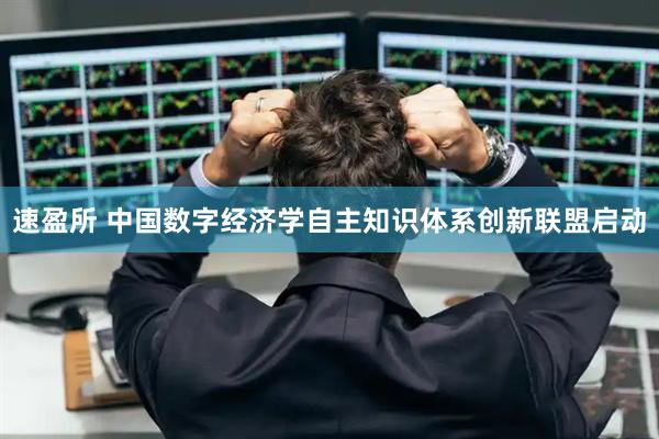 速盈所 中国数字经济学自主知识体系创新联盟启动